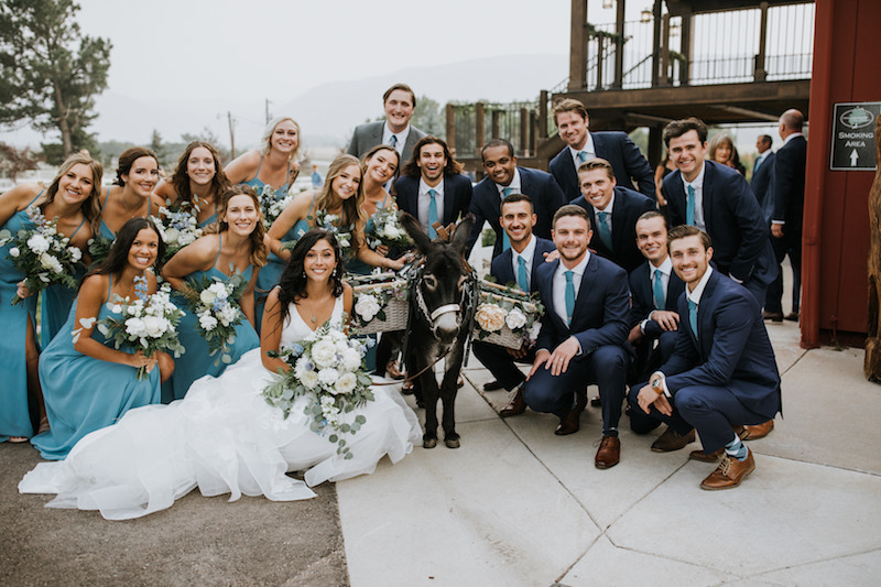 Teal colored wedding party standing around a donkey at their Colorado wedding. 